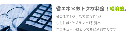 省エネ×おトクな料金メニューで、経済的。
               省エネで1/3、深夜電力で1/3、さらにはぴeプランで1割引と、エコキュートはとっても経済的なんです！